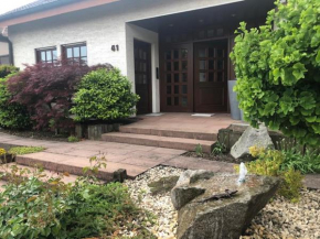 2 Zimmer Apartment 45 qm, möbliert